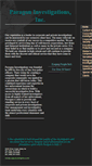 Mobile Screenshot of paragoninvestigations.com